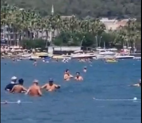 (VIDEO) Ajkula među kupačima i u turskom letovalištu?