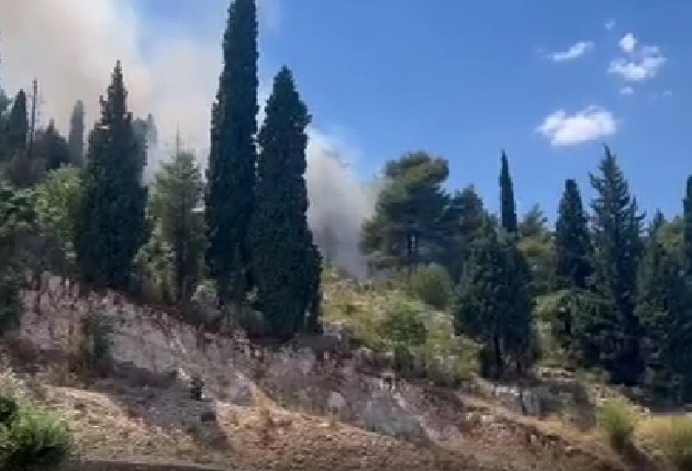 POŽAR U PODGORICI Gori Ljubović