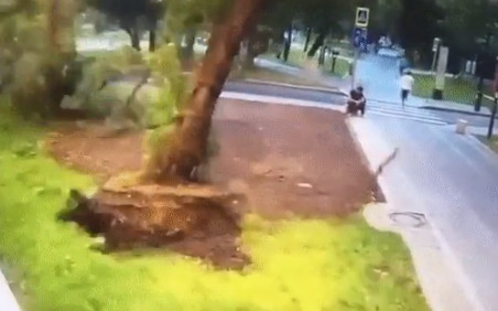 URAGAN U MOSKVI: Poginula jedna osoba, deset povrijeđenih