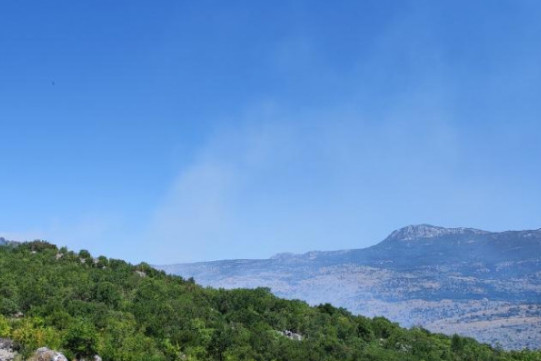 POŽAR U KRŠEVU: Odbranjene kuće