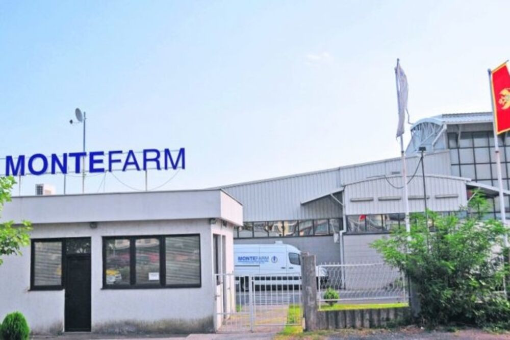 "Montefarm": Zdravstveni sistem je sistematično urušavan od 2000. godine