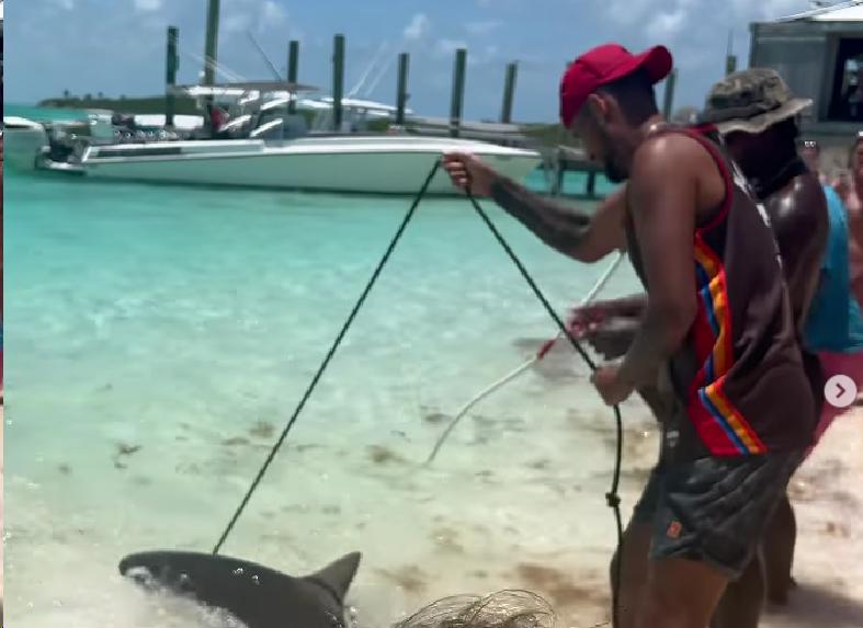 KIRJOS IMAO BLIZAK SUSRET SA AJKULAMA: Želio sam da vidim koliko su jake! (VIDEO, FOTO)