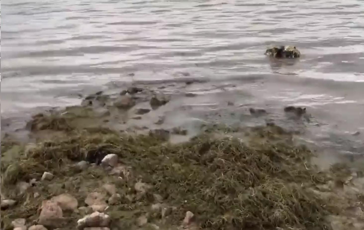 U NJEMU NALAZE LJUDSKE LEŠEVE: Jezero se povlači, isplivavaju mračne tajne prošlosti (VIDEO)