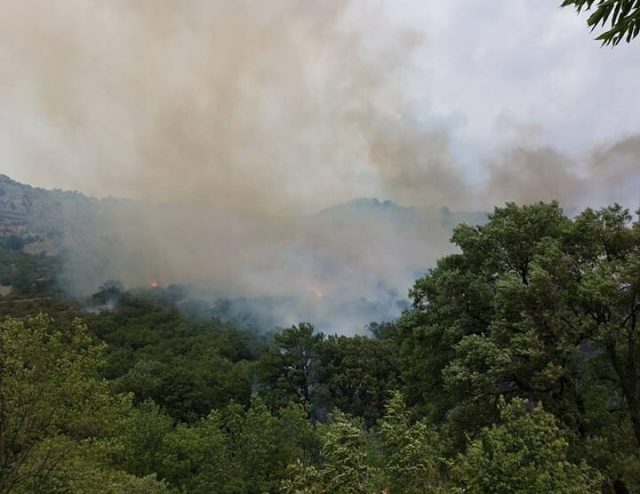 GORI NISKO I VISOKO RASTINJE Požar većih razmjera na Bioču