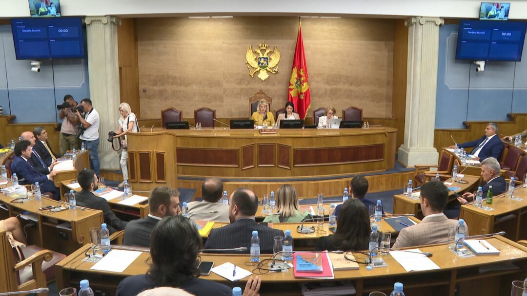 CDT: Partije nastavljaju sa podrivanjem demokratije