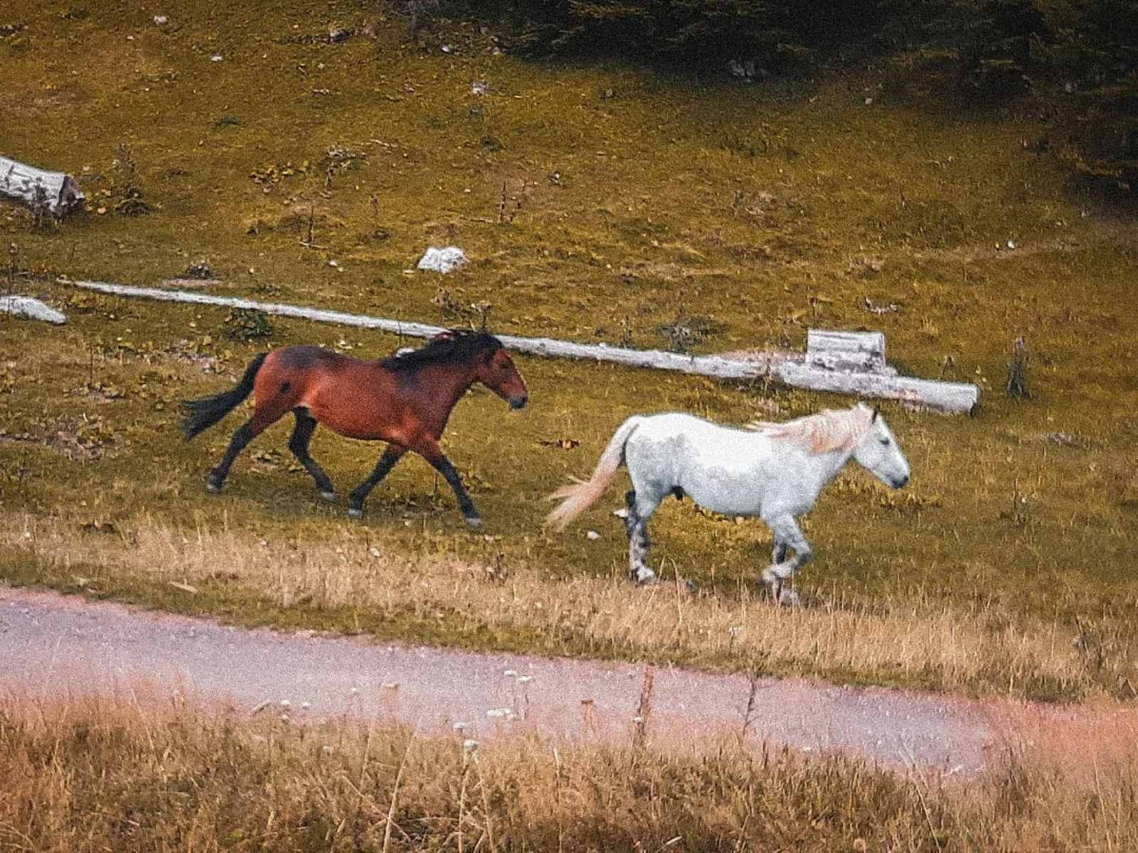 VREMENSKA PROGNOZA Sjutra promjenljivo, do 31 stepen
