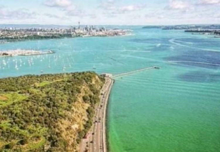 NAKON VIŠE OD DVIJE GODINE Novi Zeland otvorio granice za sve posjetioce