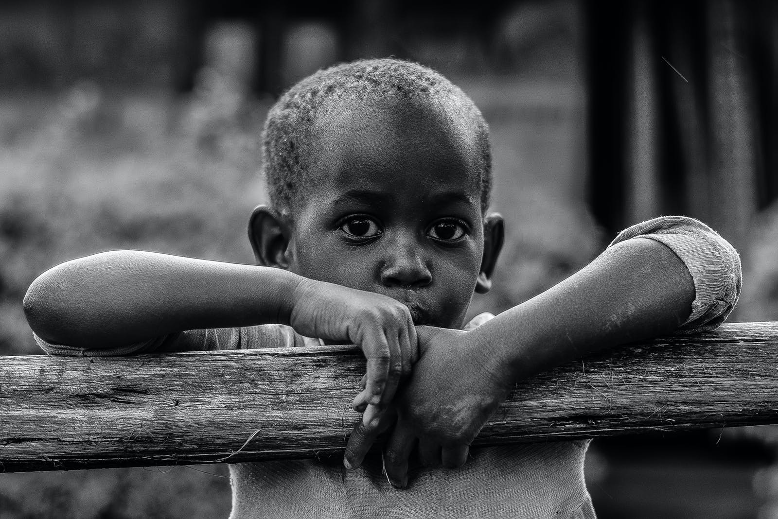 PORAŽAVAJUĆI PODACI! WFP: U svijetu gladuje 345 miliona ljudi