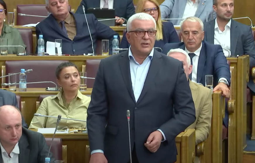 MANDIĆ: Ne želimo Zetu koja će sebi da iskopa grob jer neće dobiti sve što joj pripada