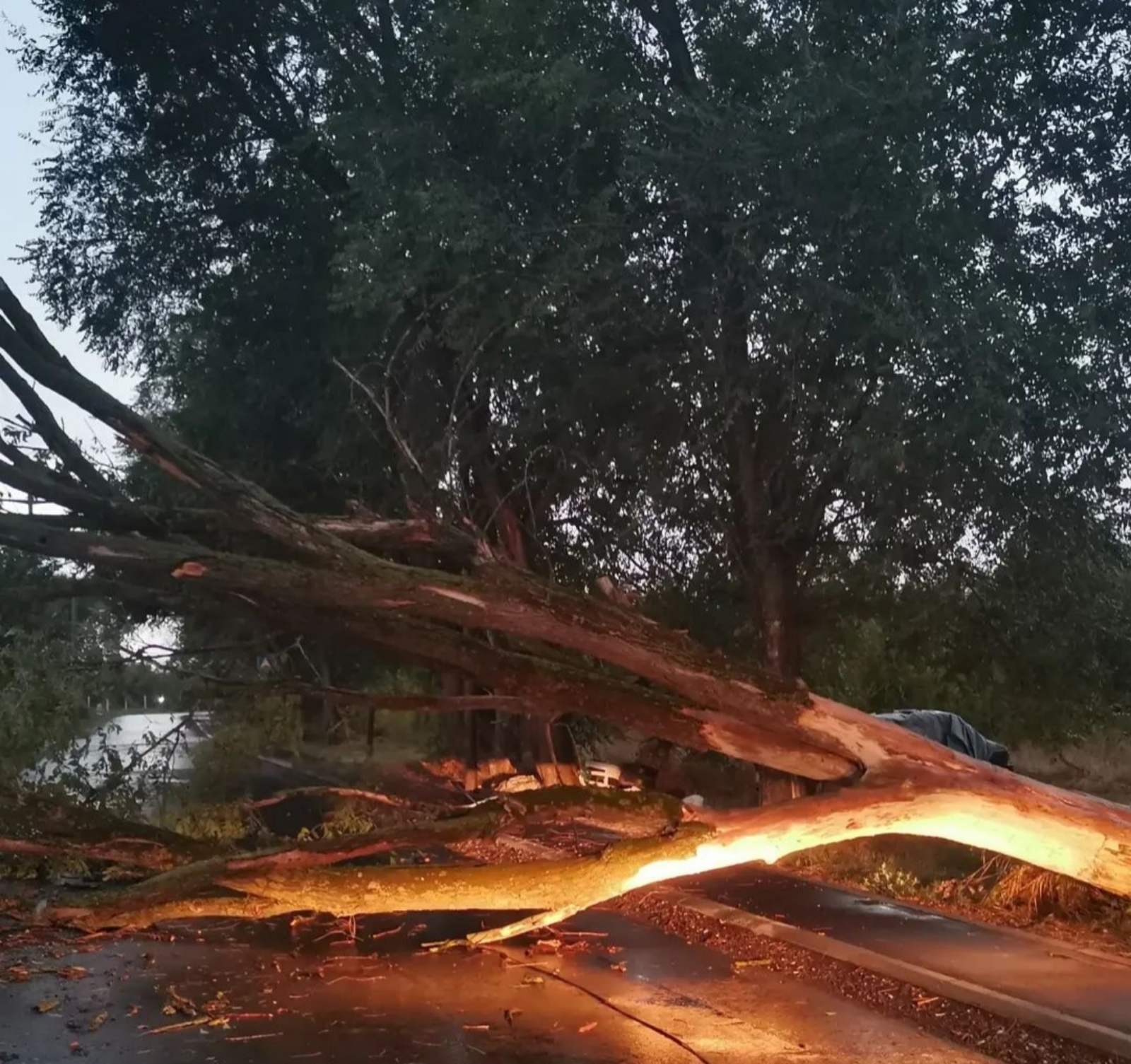 NEVREME ŠIROM SRBIJE Olujni vetar, kiša, padaju ledenice u mnogim gradovima (FOTO/VIDEO)
