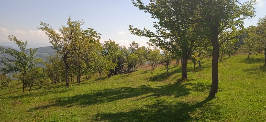 Danas sunčano i toplo, popodne moguća kiša