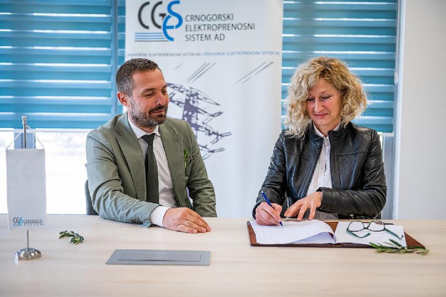 STVORENI POVOLJNI USLOVI Najavili intenzivnu promociju maslinarske proizvodnje