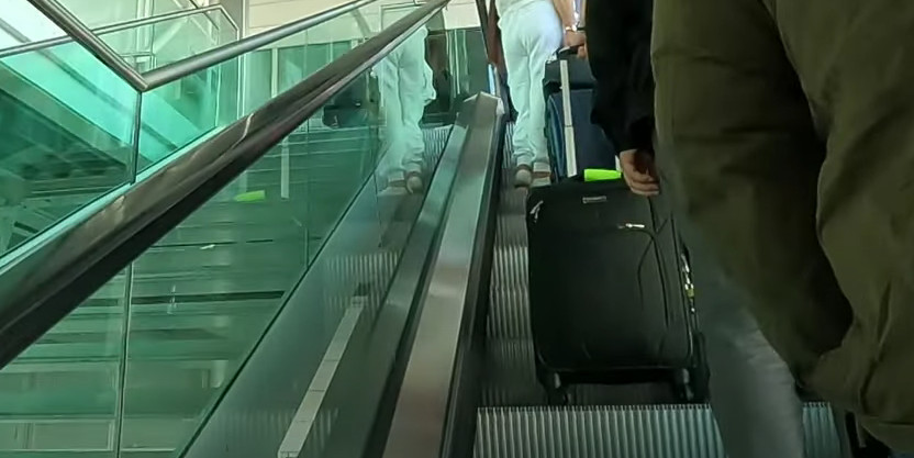 UŽAS NA AERODROMU U MINHENU: Živog aligatora nosio u koferu