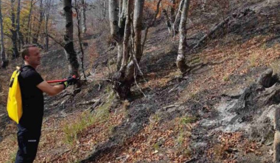 Požar u okolini Mojkovca