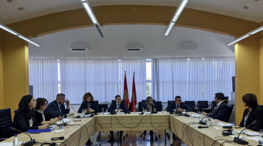 VOJINOVIĆ: Izazovi u obrazovanju moraju se rješavati na sveobuhvatan kvalitetan i održiv način