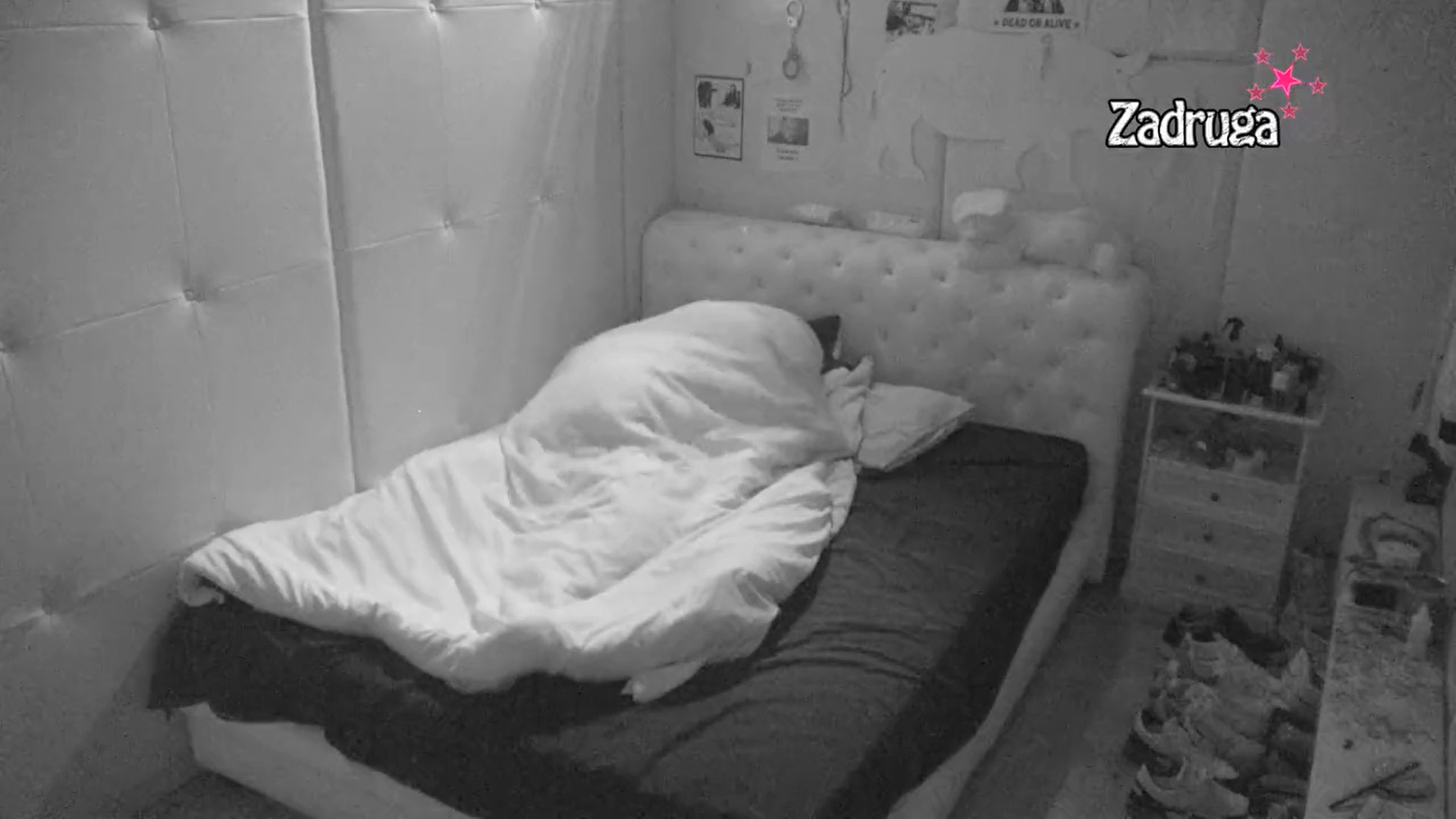 RED SUZA, RED SE*SA Maja i Car ponovo u žestokoj akciji, zatresli izolaciju (VIDEO 18+)