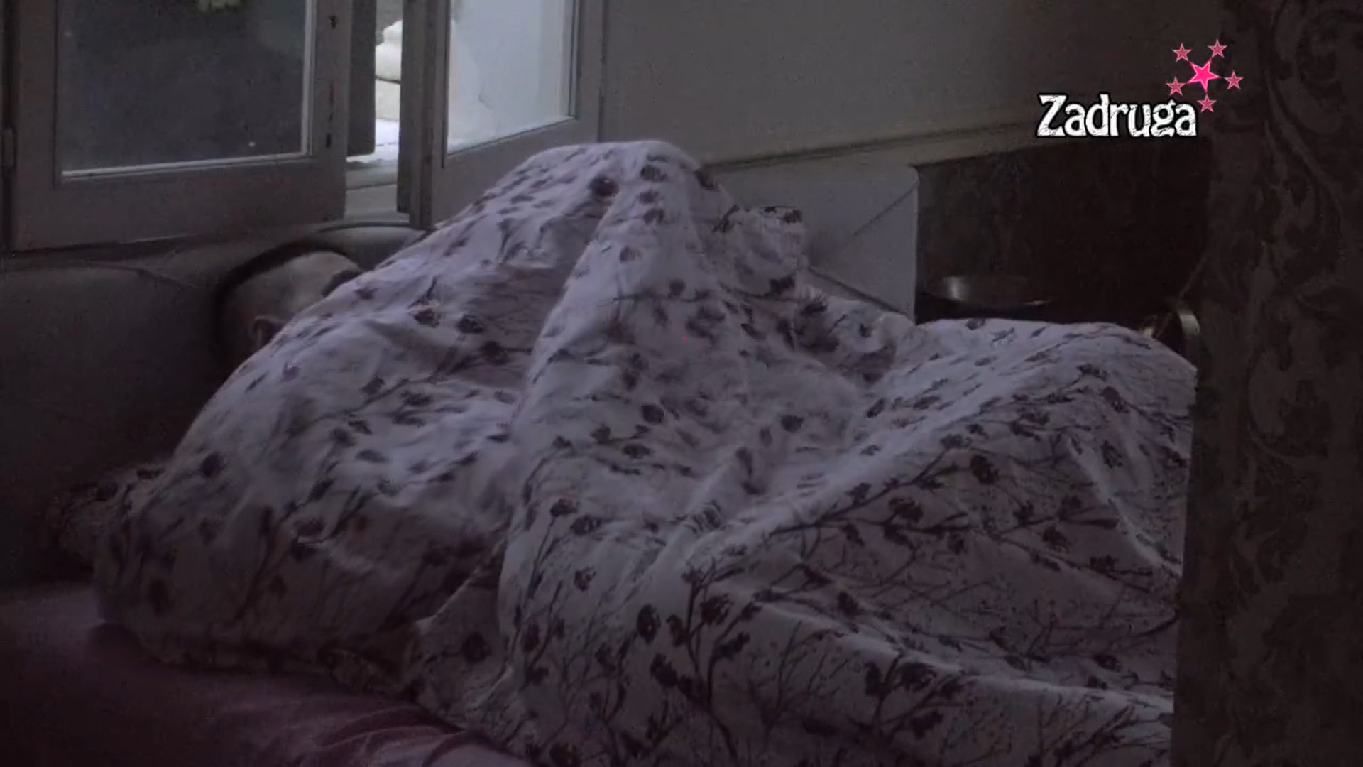 UZDASI UZNEMIRILI LABUDOVE! Miksi naskače na Zolandera kao spretna mačkica! (VIDEO 18+)
