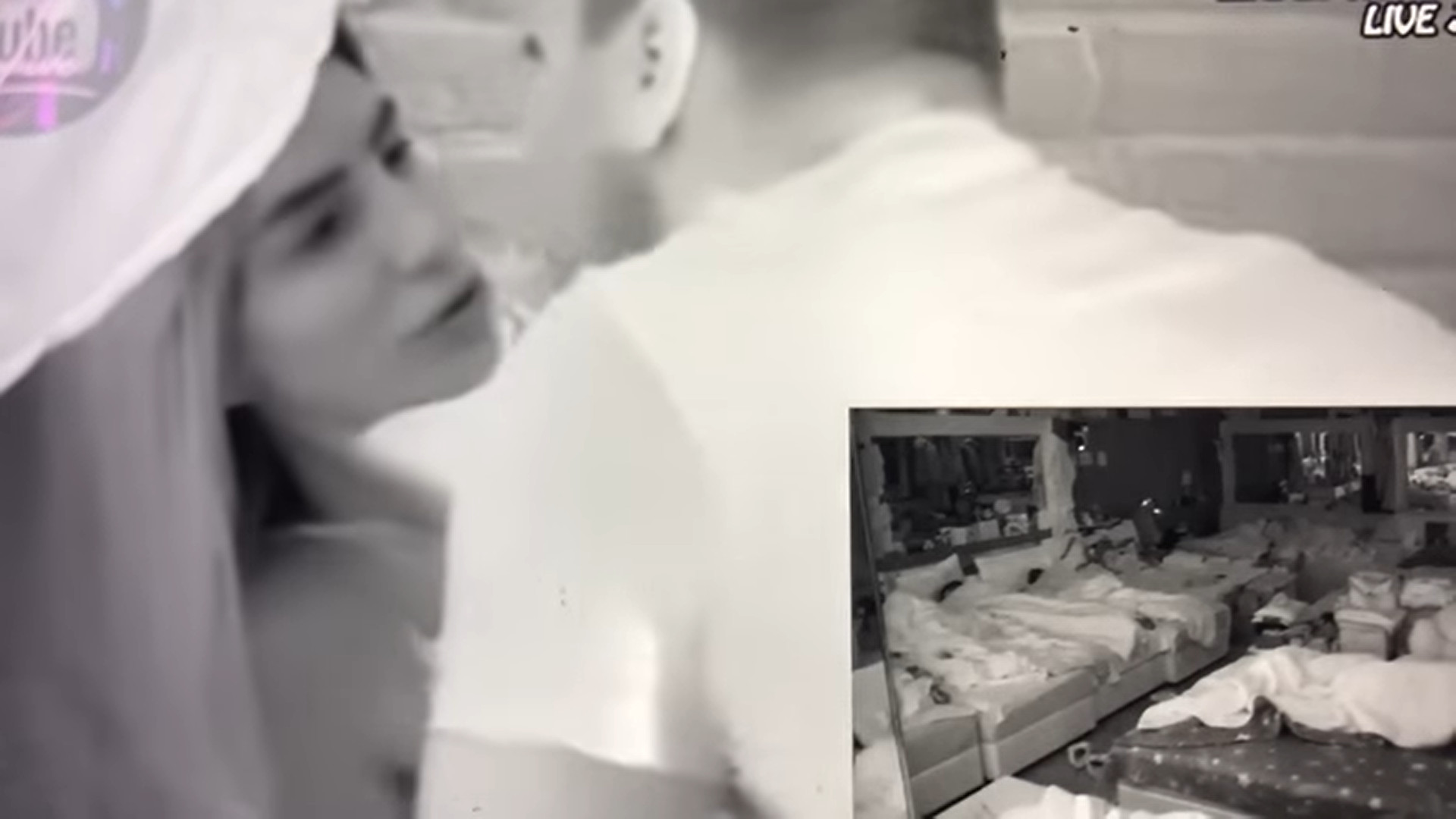 ŠOK! Istina o aferi Zvezdana i Aleks Nikolić! Ipak se TRESLA IZOLACIJA! (VIDEO)