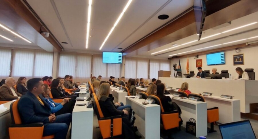 Budvanski odbor NSD želi da ućutka Jasnu Dokić