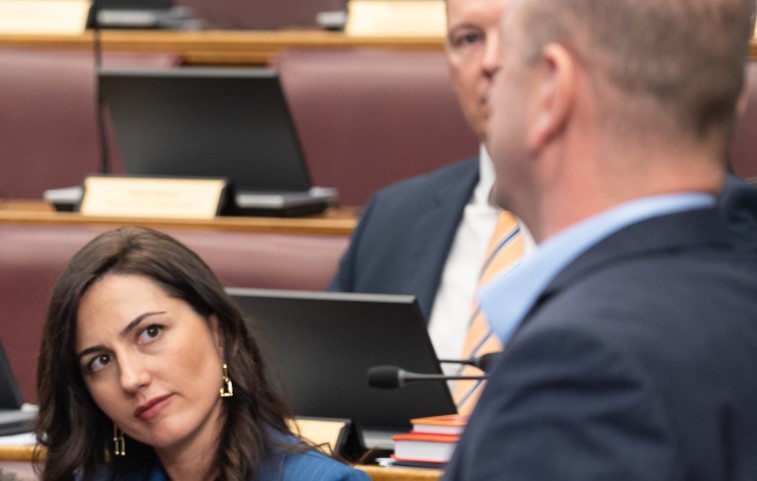 Jevrosima i Radinka nisu glasale za jasenovačku rezoluciju