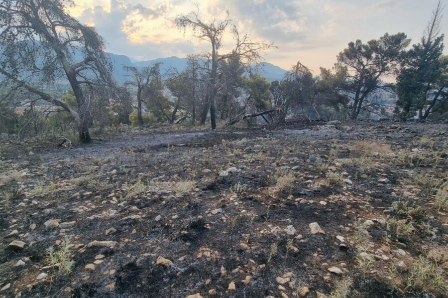 Požar na brdu Gorica ugašen, pohapšeni osumnjičeni za njegovo izazivanje