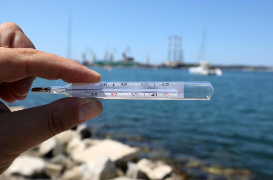 POJAVILE SE I NOVE VRSTE RIBA Temperatura mora na Jadranu zabrinjavajuće visoka