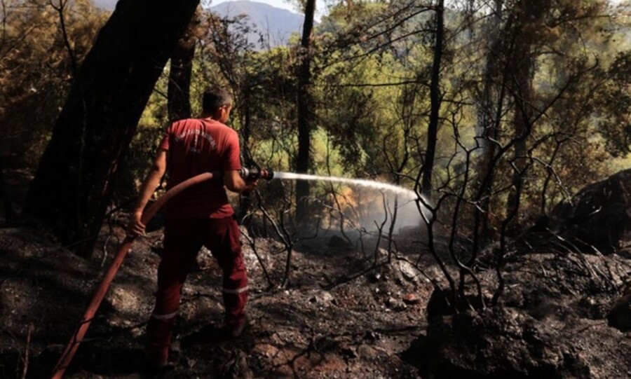 MONASI OPKOLJENI VATROM Požar na Paštrovskoj gori prijeti skitu Svetog Stefana Dečanskog