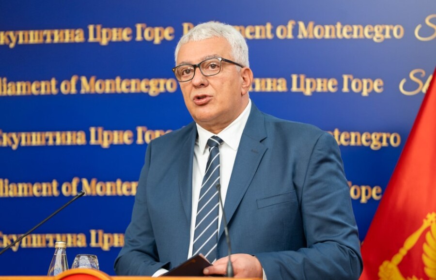 MANDIĆ Daleko smo odmakli kad su u pitanju analize u vezi sa dvojnim državljanstvom