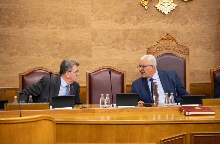 MANDIĆ Stigla sloboda 2020. godine i teško je tu slobodu danas zaustaviti