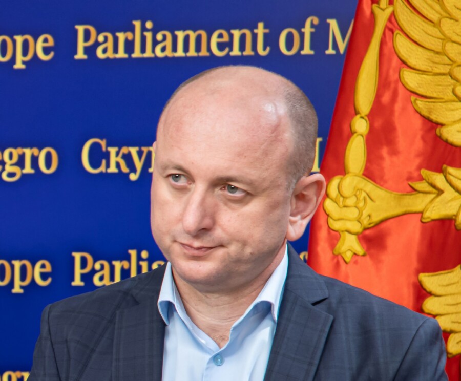 KNEŽEVIĆ PES napravio grešku jer nije ušao u ozbiljnu demontažu nasljeđa DPS-a