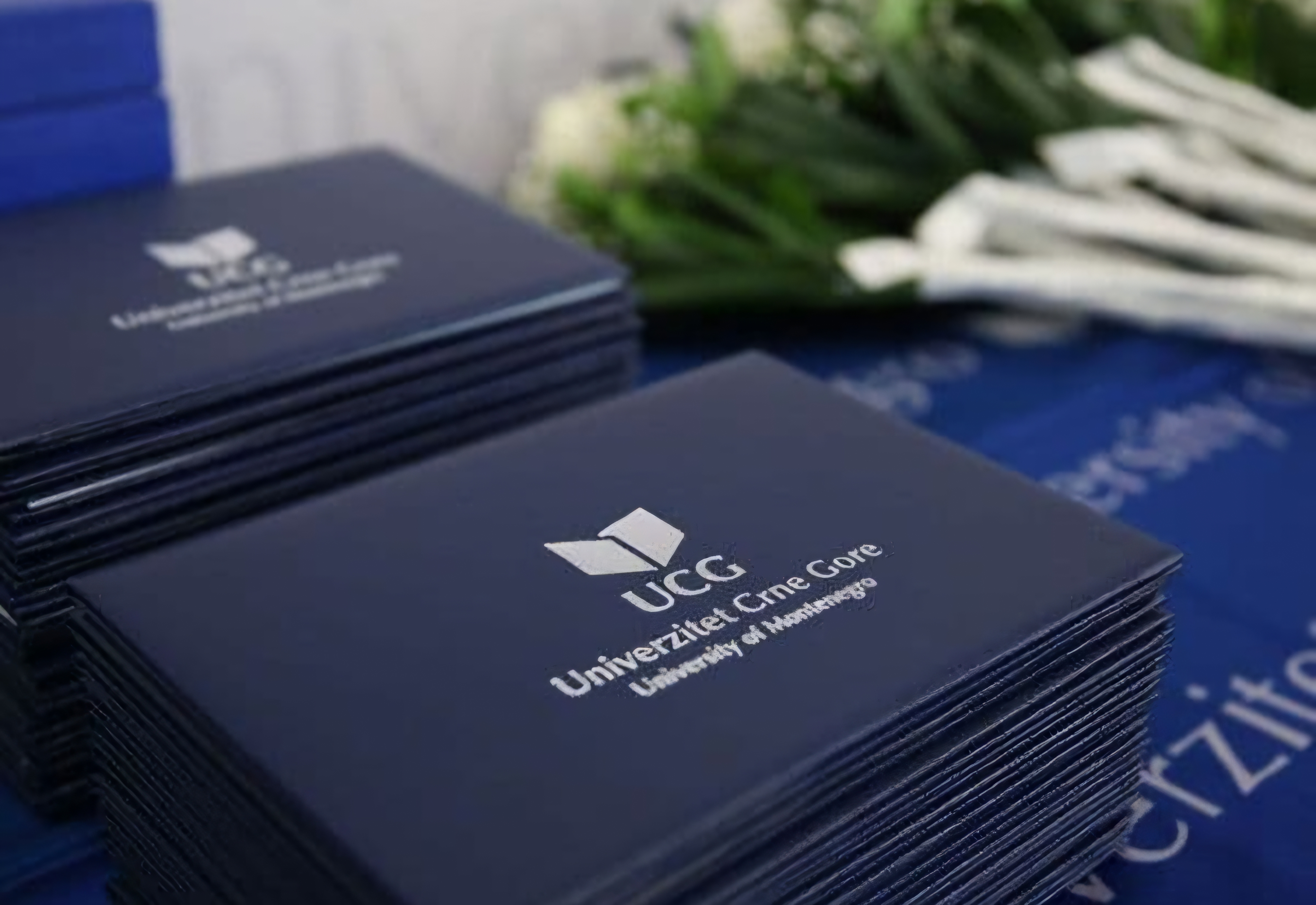 Ovo je 16 najboljih studenata na Univerzitetu Crne Gore za studijsku 2024/25. godinu