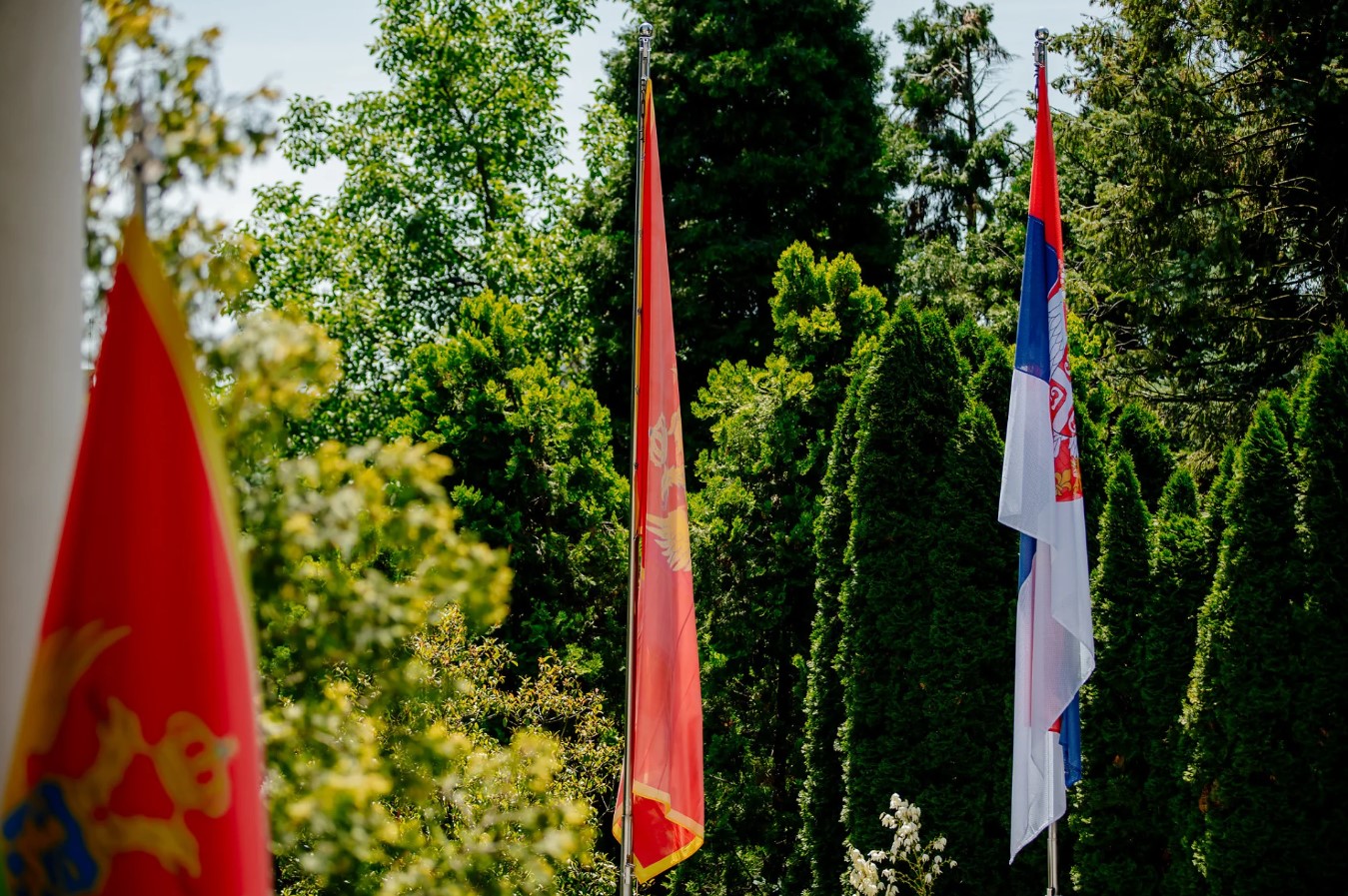 Preko 20 odsto Crnogoraca govori srpskim jezikom