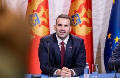 Vlada Crne Gore za narednu godinu nije planirala sredstva za produženo porodiljsko odsustvo