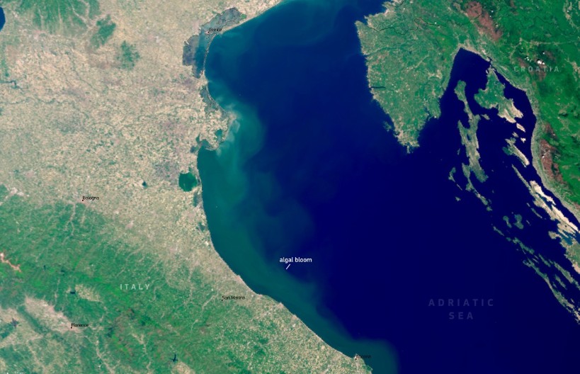 Satelitski snimci otkrili „cvjetanje“ Jadrana