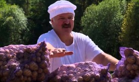 Lukašenko pozvao sve da posade krompir prije nego što bude prekasno