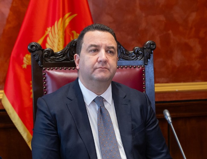 PES ulazi u bojkot rada skupštinskog tijela zbog Jefta Erakovića