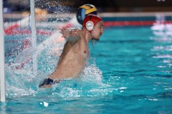 NOVI BEOGRAD U FINALU LIGE ŠAMPIONA Penali, drama i istorijska šansa za evropski tron u vaterpolu!