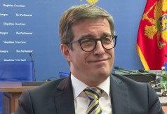 DOBRIČANIN Moj glas je bio ključan za Sporazum sa Emiratima, ne Smailovićev