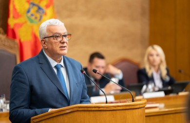 MANDIĆ Ne suprotstavljam se stavovima dva mitropolita o Đurišiću i Mihailoviću