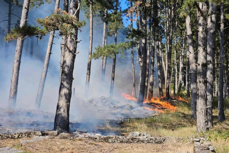 STIŽE KANADER U POMOĆ VATROGASCIMA Treći dan borbe sa požarom između Crne Gore i Srpske