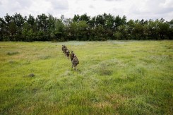 RUSIJA SPREMA ODBRANU BRJANSKE OBLASTI Ukrajina spremila 50 hiljada vojnika za upad u Rusiju