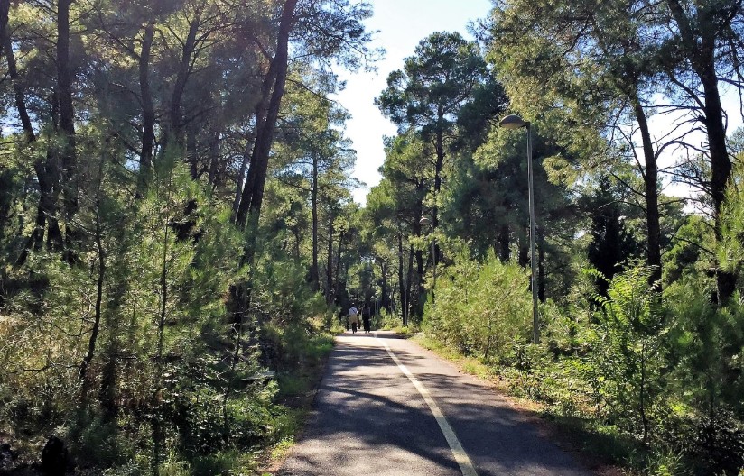 Podgorička brda zatvorena za šetače zbog opasnosti od požara
