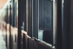 Vrhovni sud odbacio žalbu optuženih za ubistvo Slavoljuba Šćekića