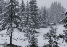 TRAGEDIJA KOD BIJELOG POLJA Dvije starice pronađene mrtve u snijegu