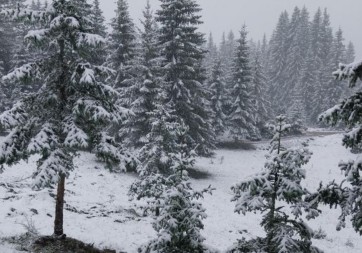 TRAGEDIJA KOD BIJELOG POLJA Dvije starice pronađene mrtve u snijegu