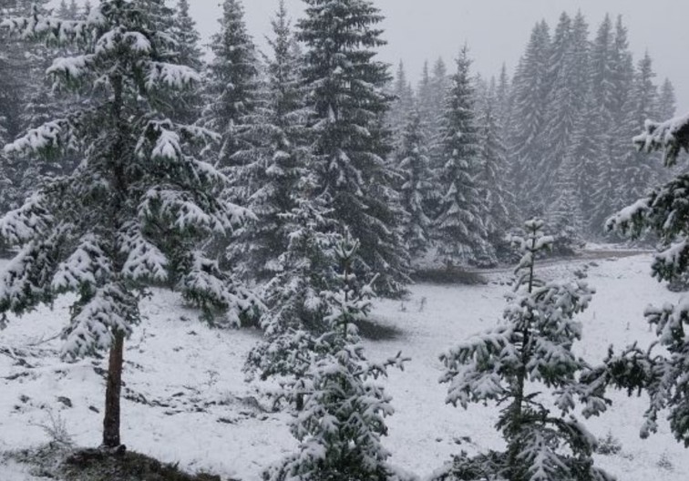 TRAGEDIJA KOD BIJELOG POLJA Dvije starice pronađene mrtve u snijegu
