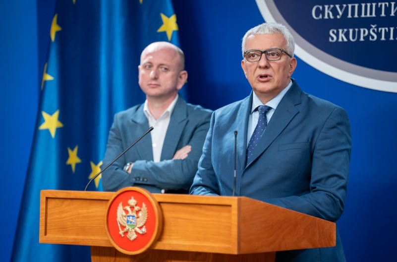 ZBCG bilježi najveći rast, PES u padu – a DPS i dalje čudesno „opstaje“