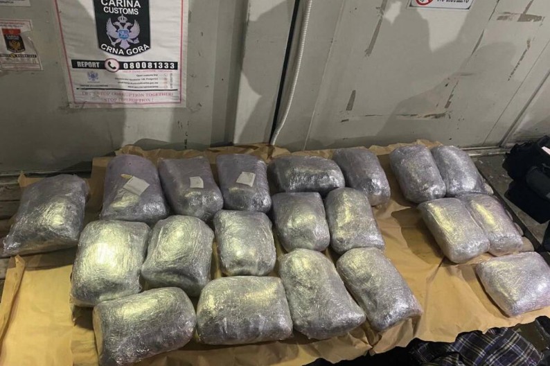 Profesoru Raičeviću do 30 dana pritvora zbog šverca narkotika