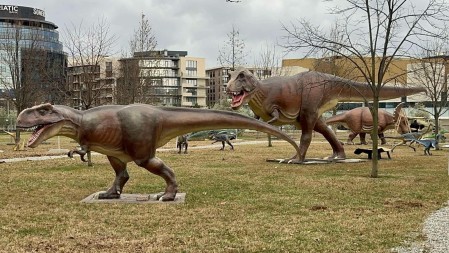 Stigli dinosaurusi u Podgoricu