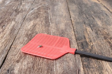 A DA OVA OPTUŽNICA NIJE PRETJERIVANJE Beranka počinila krivično djelo muvaricom